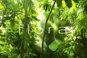 flora